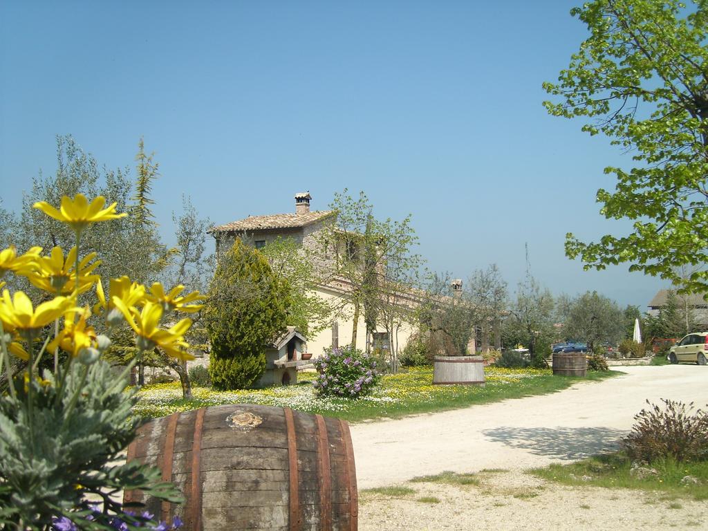 Вилла Fattoria Del Quondam Giano dell'Umbria Экстерьер фото